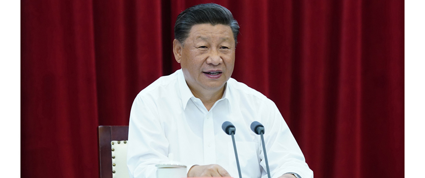 习近平在扎实推进长三角一体化发展座谈